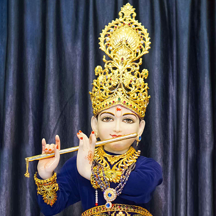 Janmashtami Mahila Celebration