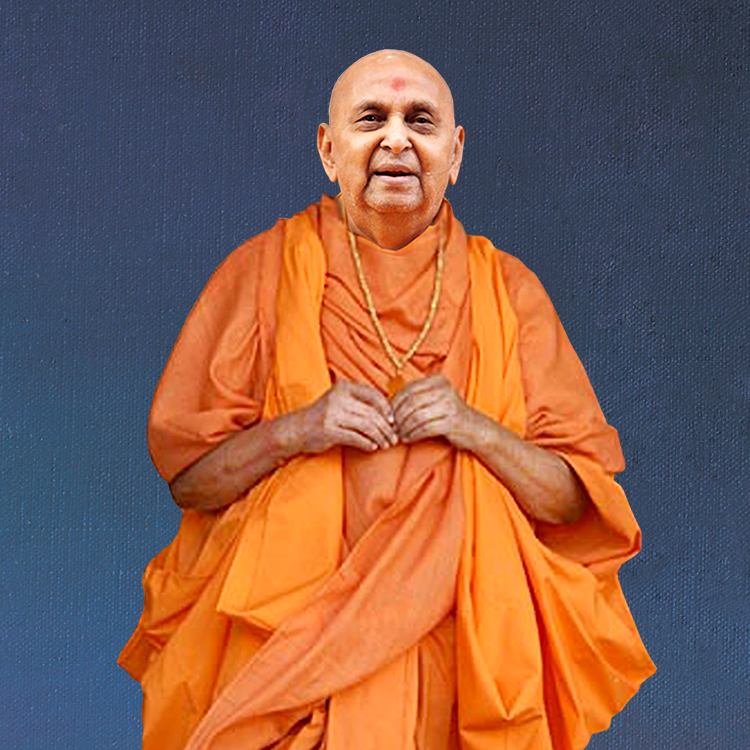 Makar Sankranti - Jholi Utsav