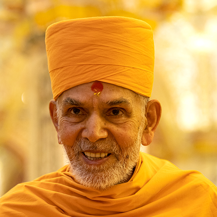 His Holiness Mahant Swami Maharaj Birthday Celebration