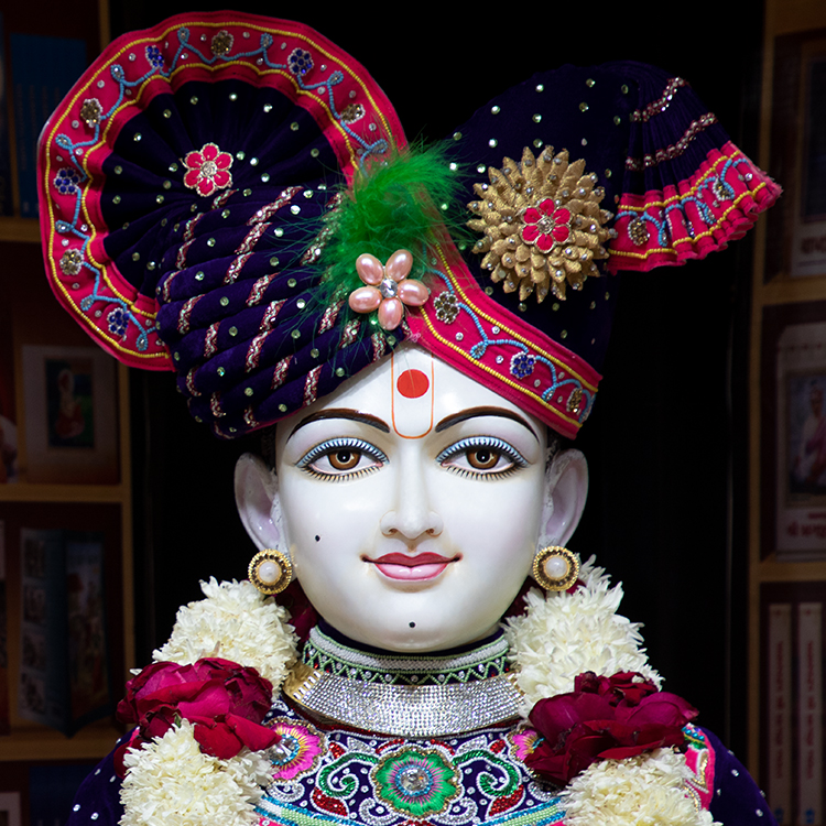 Shri Swaminarayan Jayanti & Shri Ram Navmi Celebration