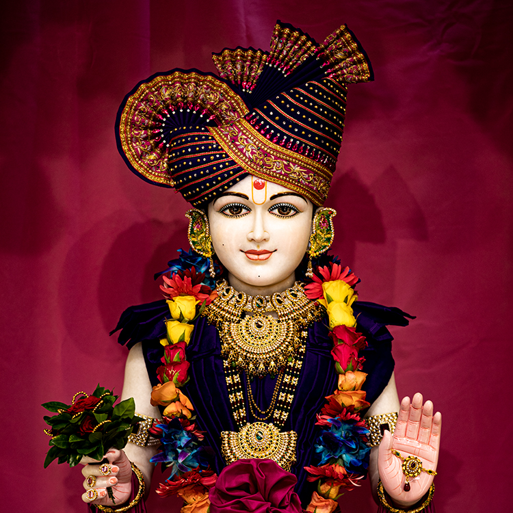 Shri Swaminarayan Jayanti & Shri Ram Navmi Celebration - Mahila Celebration