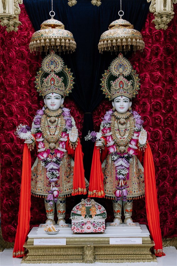 Rajat Jayanti