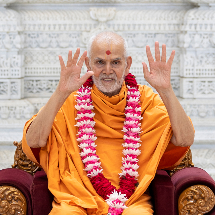 HH Mahant Swami Maharaj Janma Jayanti