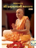 Brahmaswarup Shri Pramukh Swami Maharaj (Part 7)